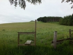 Image-14.jpg