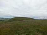 Image-10.jpg