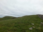 Image-9.jpg