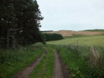 Image-7.jpg