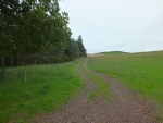 Image-6.jpg