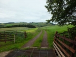 Image-5.jpg