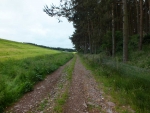 Image-4.jpg