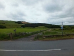 Image-2.jpg