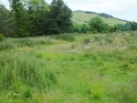 Image-1.jpg