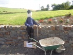 Scarecrows 2015 (1).jpg